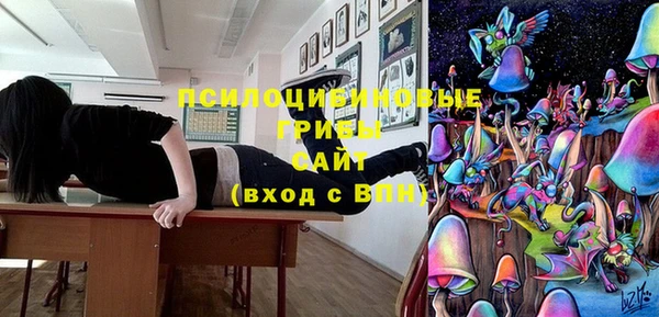 мдпв Белокуриха