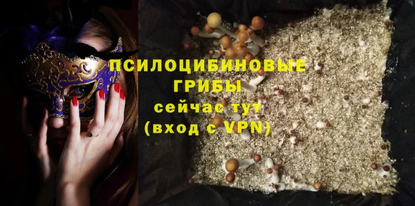 мдпв Белокуриха